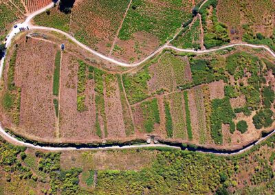 BERGIDA ASTUR CASTRO VENTOSA YACIMIENTO ASTURES ROMANOS