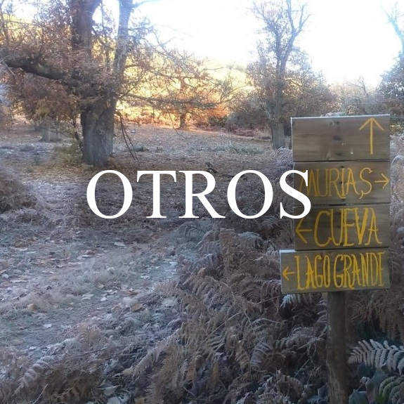 YACIMIENTOS ASTURES Y ROMANOS EN EL BIERZO