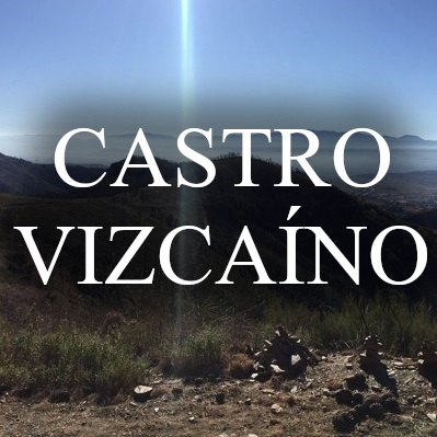 YACIMIENTO ARQUEOLÓGICO DE CASTRO VIZCAINO