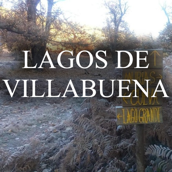 YACIMIENTO ARQUEOLÓGICO DE LOS LAGOS DE VILLABUENA